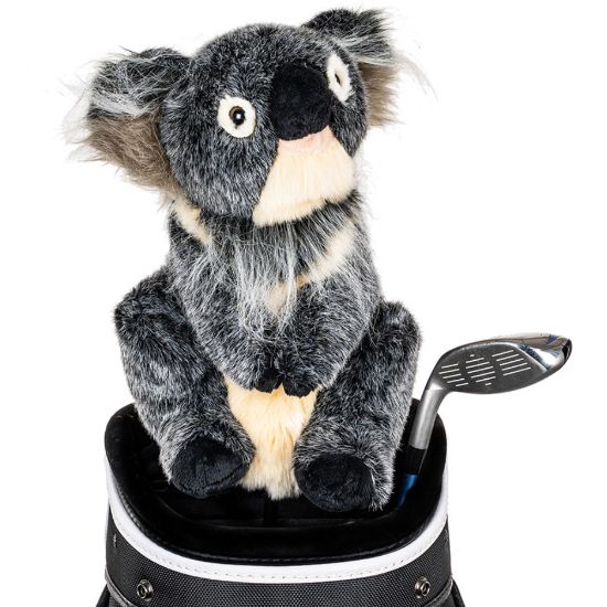 Picture of Daphnes Headcover - Koala