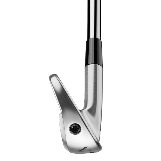 Picture of TaylorMade P770 Golf Irons