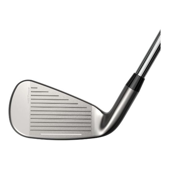 Picture of Cobra DS-Adapt Golf Irons