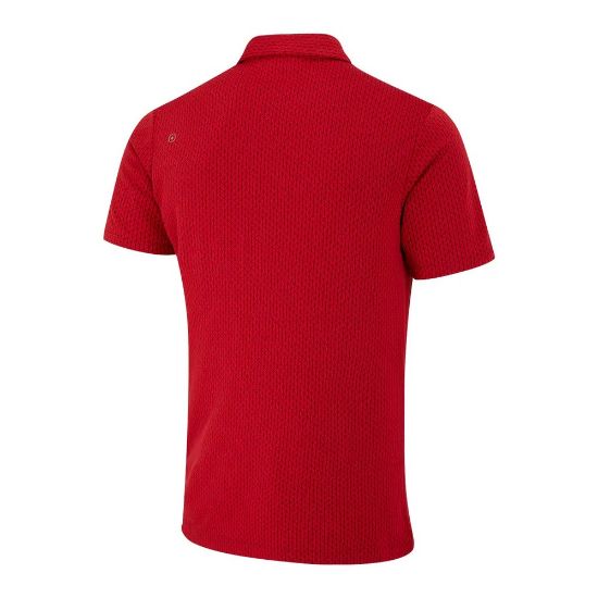 Picture of PING Men's Hershel Golf Polo Shirt